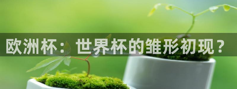 2026世界杯德国队阵容：欧洲杯：世界杯的雏形初现？