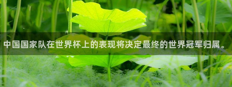 2026年世界杯赛程表时间:中国国家队在世界杯上的表现将决定最终的世界冠军归属。