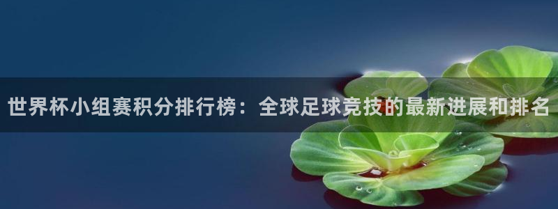 世界杯决赛圈球队：世界杯小组赛积分排行榜：全球足球竞技的最新进展和排名