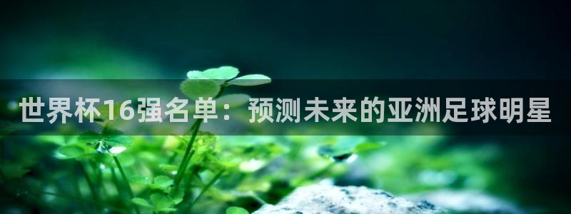 2026世界杯32强对阵图表：世界杯16强名单：预测未来的亚洲足球明星