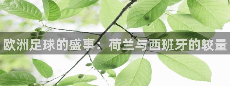 26世界杯：欧洲足球的盛事：荷兰与西班牙的较量