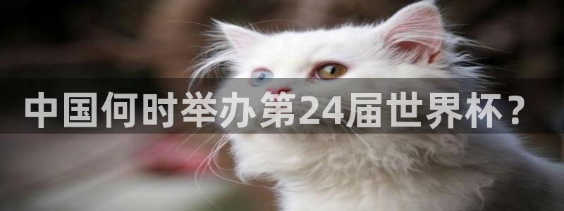 世界杯2026赛程时间表格：中国何时举办第24届世界杯？