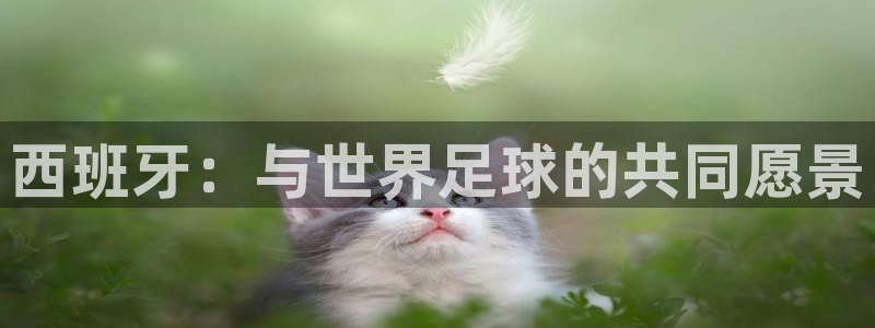 世界杯附加赛赛程表：西班牙：与世界足球的共同愿景