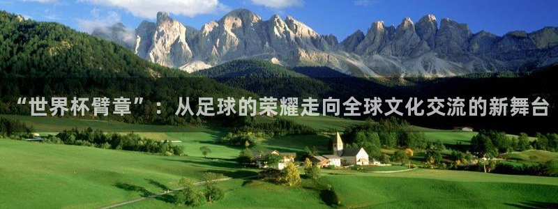 世界杯球赛：“世界杯臂章”：从足球的荣耀走向全球文化交流的新舞台
