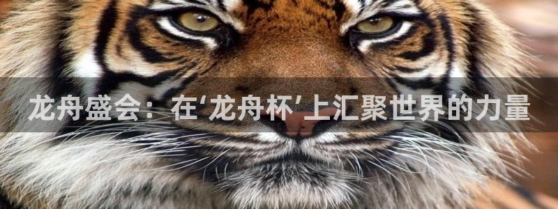 欧联杯直播：龙舟盛会：在‘龙舟杯’上汇聚世界的力量