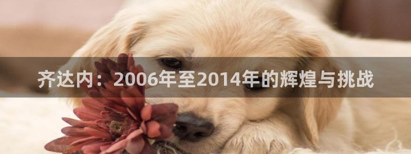 女足世界杯直播在线观看免费高清：齐达内：2006年至2014年的辉煌与挑战