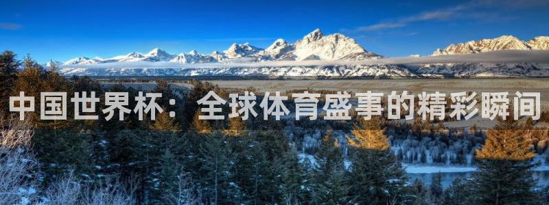足球世界杯2026：中国世界杯：全球体育盛事的精彩瞬间