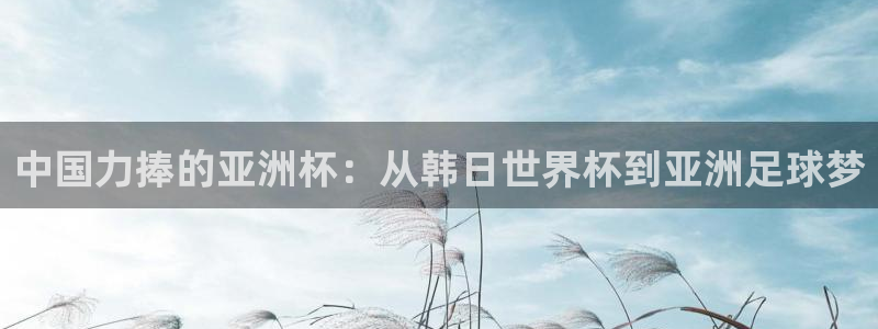 世界杯：中国力捧的亚洲杯：从韩日世界杯到亚洲足球梦
