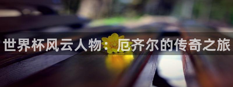 世界杯转播表：世界杯风云人物：厄齐尔的传奇之旅