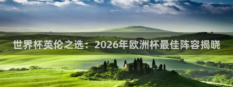 世界杯足球赛2026：世界杯英伦之选：2026年欧洲杯最佳阵容揭晓